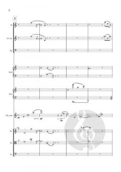 Pocket Concerto von Poul Ruders 