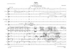 Sights, Suite for Ensemble von Christian Paterniti im Alle Noten Shop kaufen