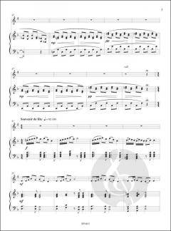 La Bateau Fantome von Pierre Barusseau 