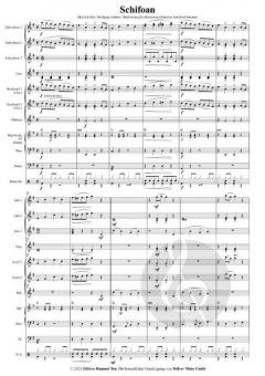 Schifoan von Wolfgang Ambros 