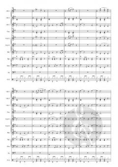 Schifoan von Wolfgang Ambros 