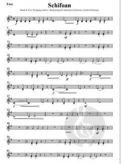 Schifoan von Wolfgang Ambros 