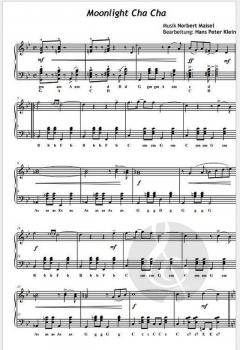 Heiße Rhytmen von Norbert Maisel 