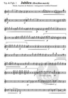 Jubileu von Anacleto Medeiros 