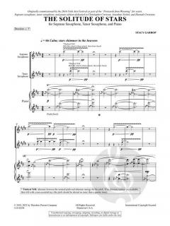 The Solitude of Stars von Stacey Garrop 