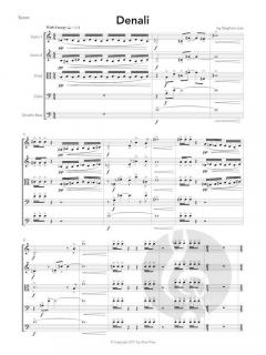 Denali von Stephen Lias 