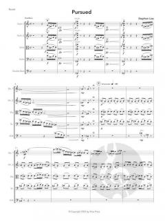 Pursued von Stephen Lias 