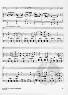 Petit Concertino von Victor Frederic Verrimst 