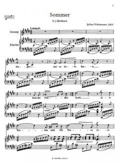 Ausgewählte Lieder für Singstimme und Klavier von Julius Weismann 