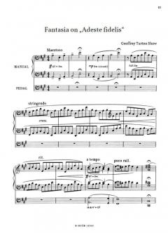 Orgelraritäten zu Weihnachten 6 im Alle Noten Shop kaufen