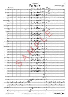 Fantasia von Torstein Aagaard-Nilsen 