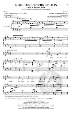 A Better Resurrection von Amber R. Maxwell 