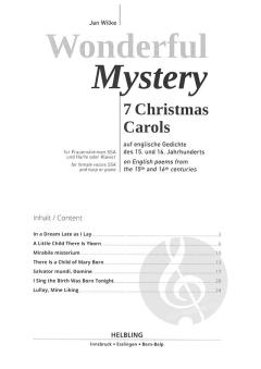 Wonderful Mystery von Jan Wilke 