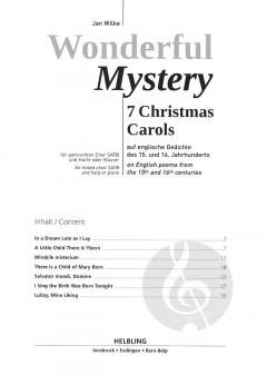 Wonderful Mystery von Jan Wilke 