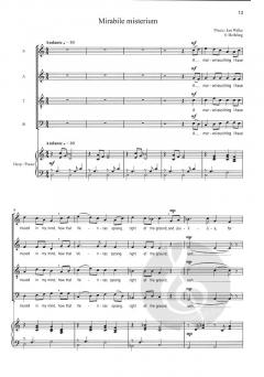 Wonderful Mystery von Jan Wilke 