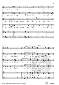 Wonderful Mystery von Jan Wilke 