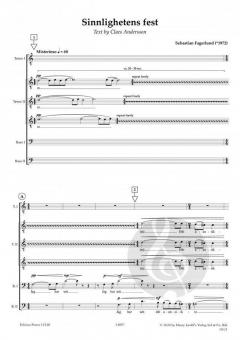 Sinnlighetens fest von Sebastian Fagerlund 