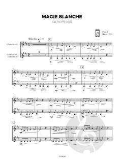 EBONY AU CIRQUE Volume 2 von Alexis Ciesla 