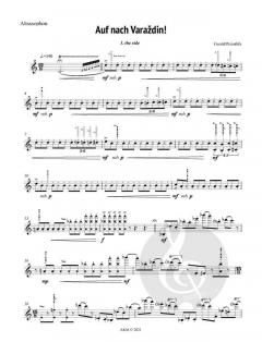 Auf nach Varaždin! von Gerald Preinfalk 