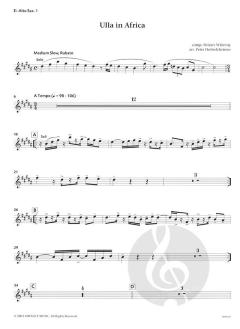 Ulla in Africa (Peter Herbolzheimer) 