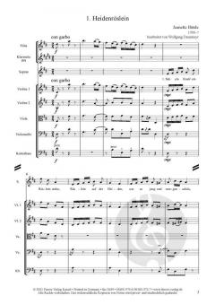 Von Goethe inspiriert 1 