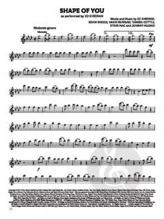 Super Hits for Flute 