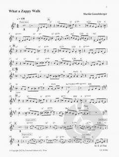 My Song Diary von Klaus Dickbauer 