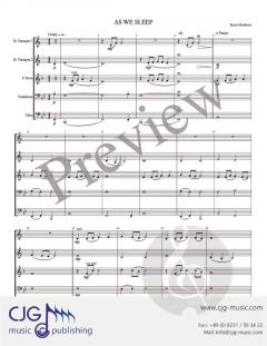 As We Sleep von Ryan Meeboer 