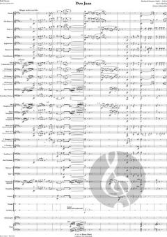 Don Juan von Richard Strauss 