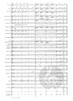 Im Krapfenwald'l von Johann Strauss (Sohn) 