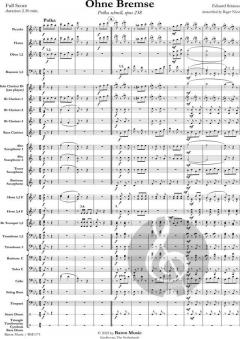 Ohne Bremse von Eduard Strauss 