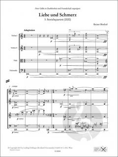 Liebe und Schmerz von Rainer Bischof 