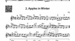 Das Irish Fiddle Book von Patrick Steinbach 