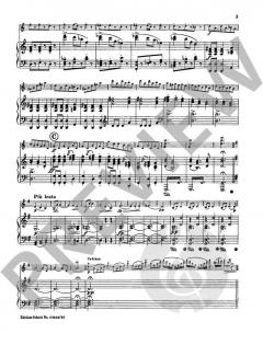 Geschichten aus dem Wienerwald op. 325 von Johann Strauss (Sohn) 