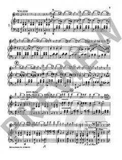 Geschichten aus dem Wienerwald op. 325 von Johann Strauss (Sohn) 