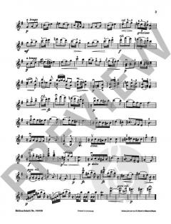 Slawischer Tanz e-Moll op. 72/2 von Antonín Dvořák 