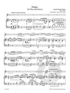 Elegie  von Miroslav Weber 