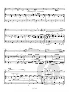 Elegie  von Miroslav Weber 