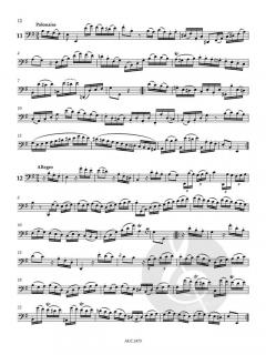 42 Capricen von Etienne Ozi 