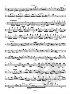 42 Capricen von Etienne Ozi 