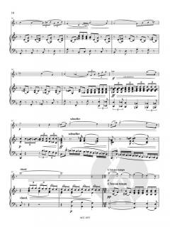 Ballade und Elegie von Miroslav Weber 