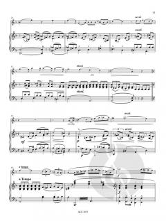 Ballade und Elegie von Miroslav Weber 