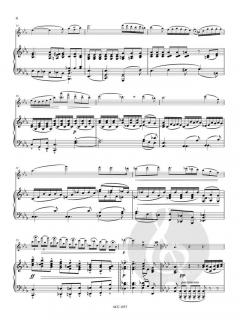 Ballade und Elegie von Miroslav Weber 