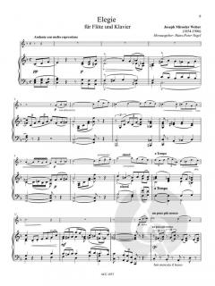 Ballade und Elegie von Miroslav Weber 