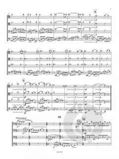 Kleine Suite Nr. 3 (op. 92) von Victor Bruns 