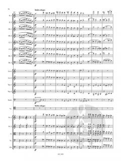 Cellokonzert Nr. 1 a-moll op. 33  im Alle Noten Shop kaufen (Partitur)