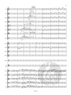 Cellokonzert Nr. 1 a-moll op. 33  im Alle Noten Shop kaufen (Partitur)