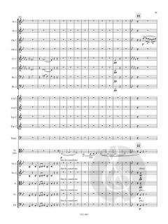 Cellokonzert Nr. 1 a-moll op. 33  im Alle Noten Shop kaufen (Partitur)
