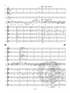 Cellokonzert Nr. 1 a-moll op. 33  im Alle Noten Shop kaufen (Partitur)