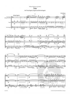 Trio op. 97 von Victor Bruns 